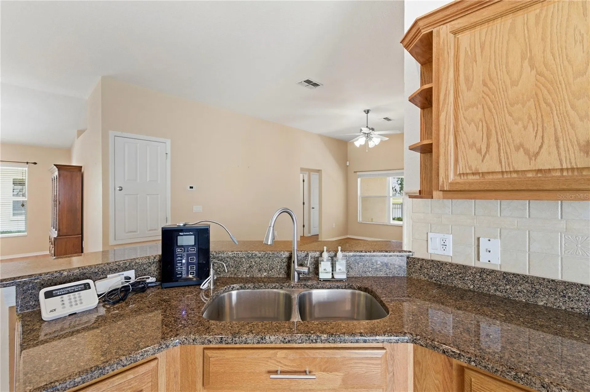 9551 Jaybird Lane Land O Lakes FL 34638
