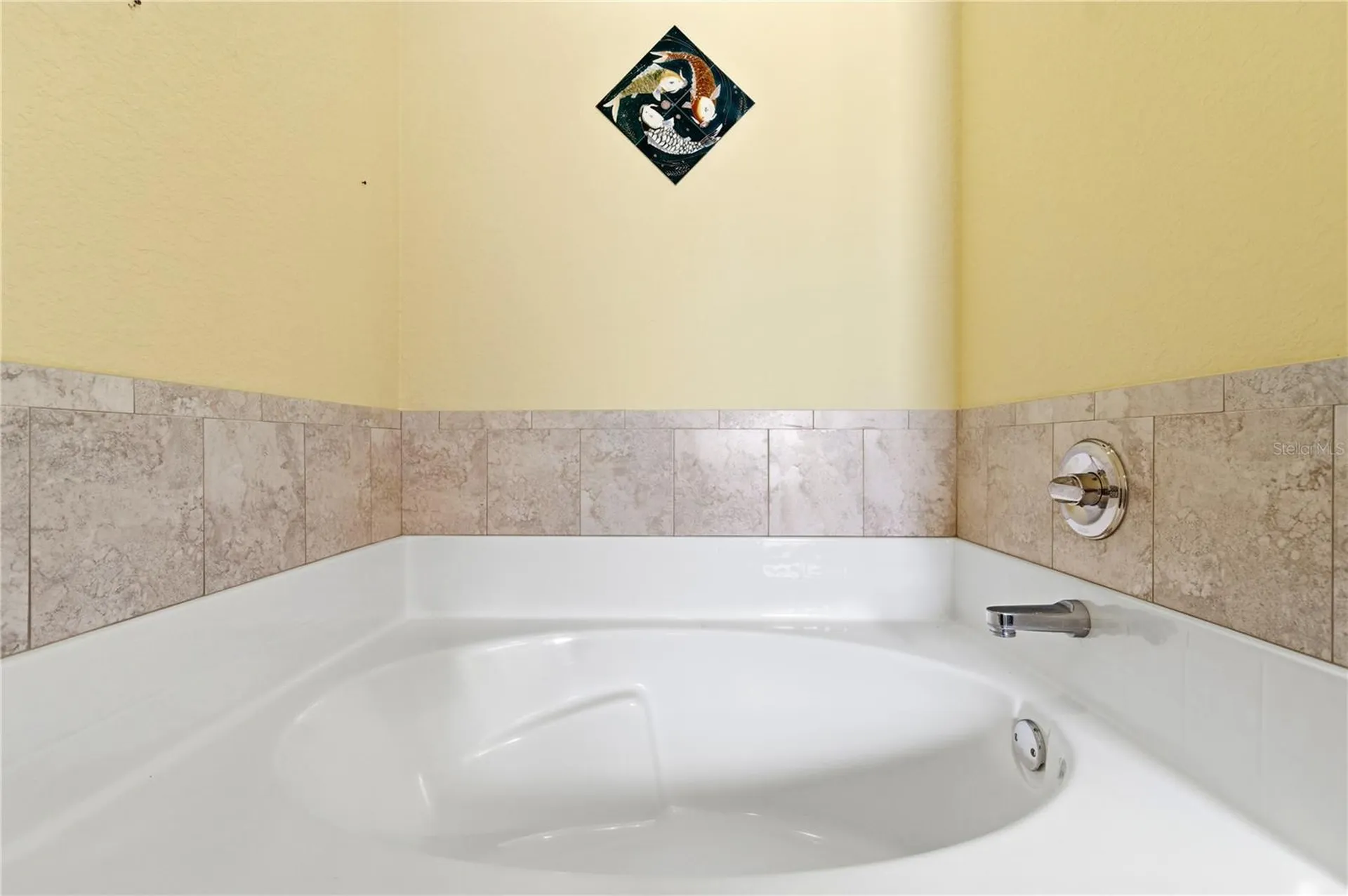 9551 Jaybird Lane Land O Lakes FL 34638