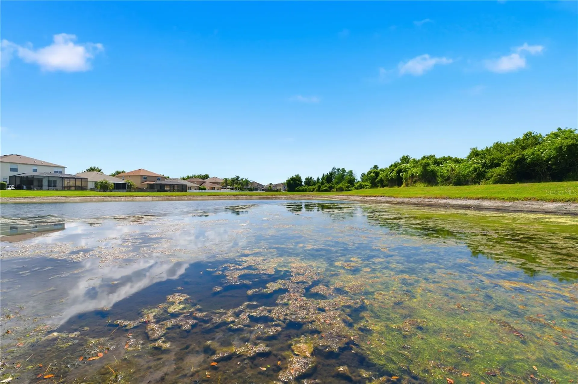 9551 Jaybird Lane Land O Lakes FL 34638