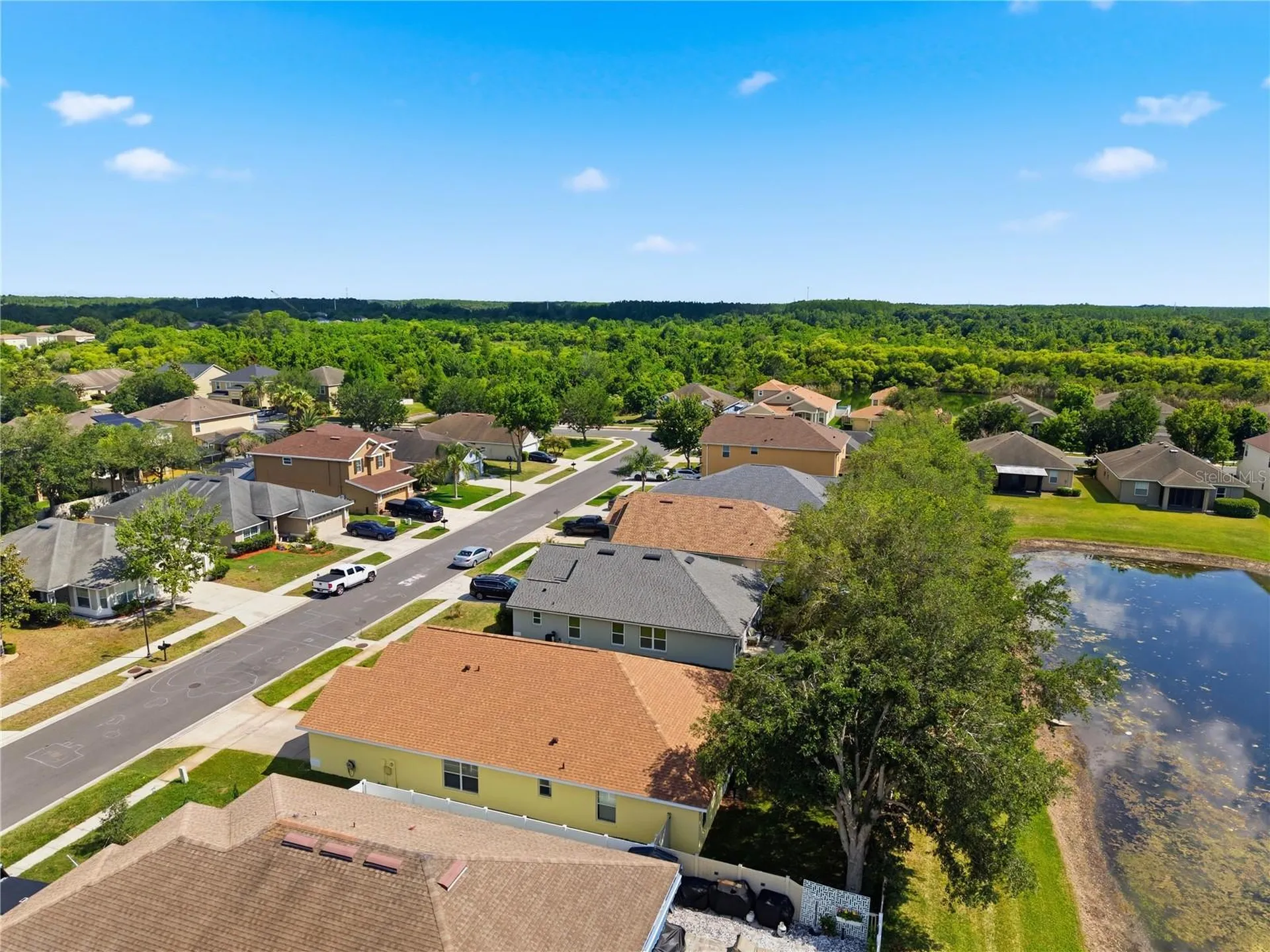 9551 Jaybird Lane Land O Lakes FL 34638