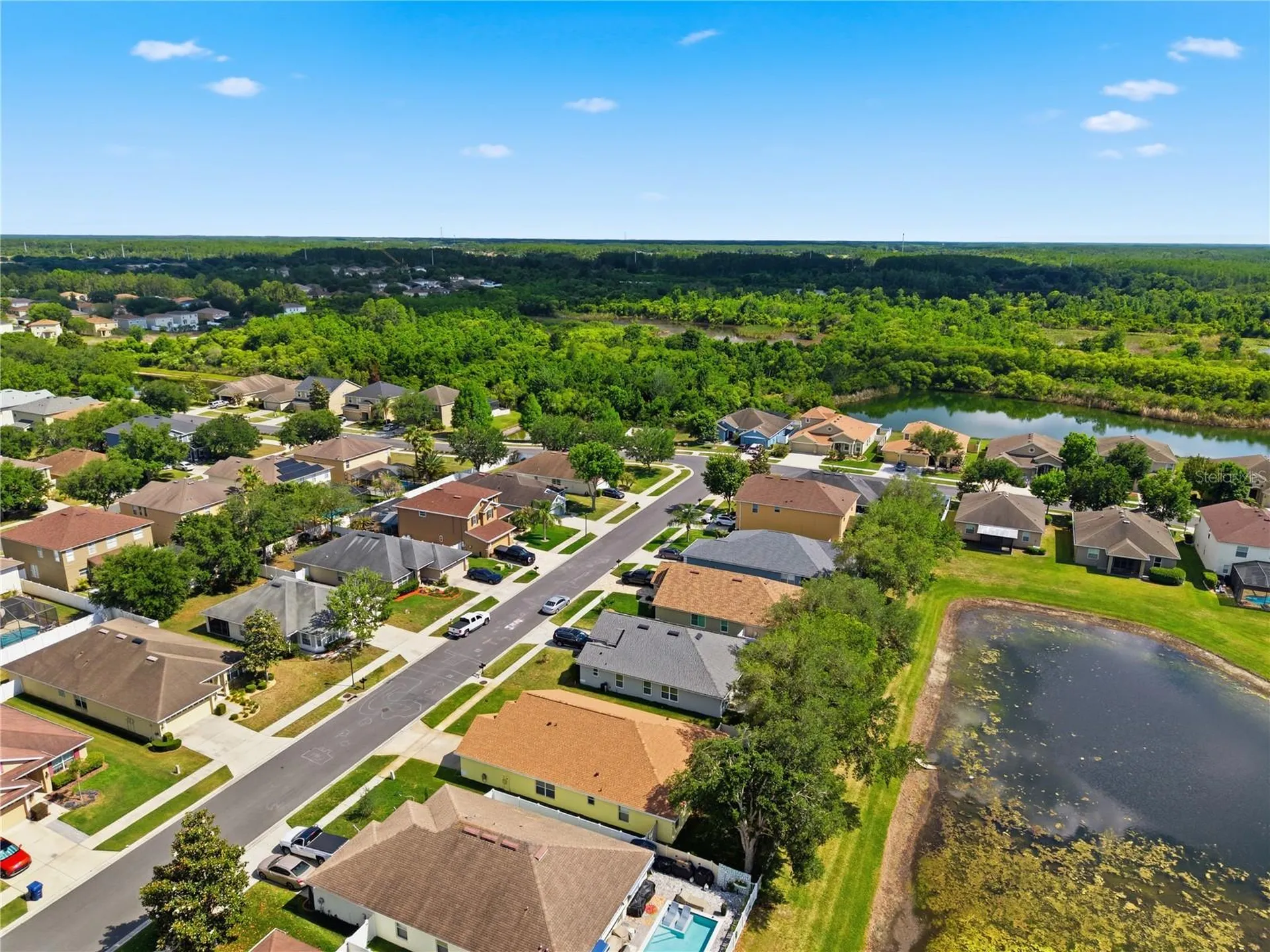 9551 Jaybird Lane Land O Lakes FL 34638
