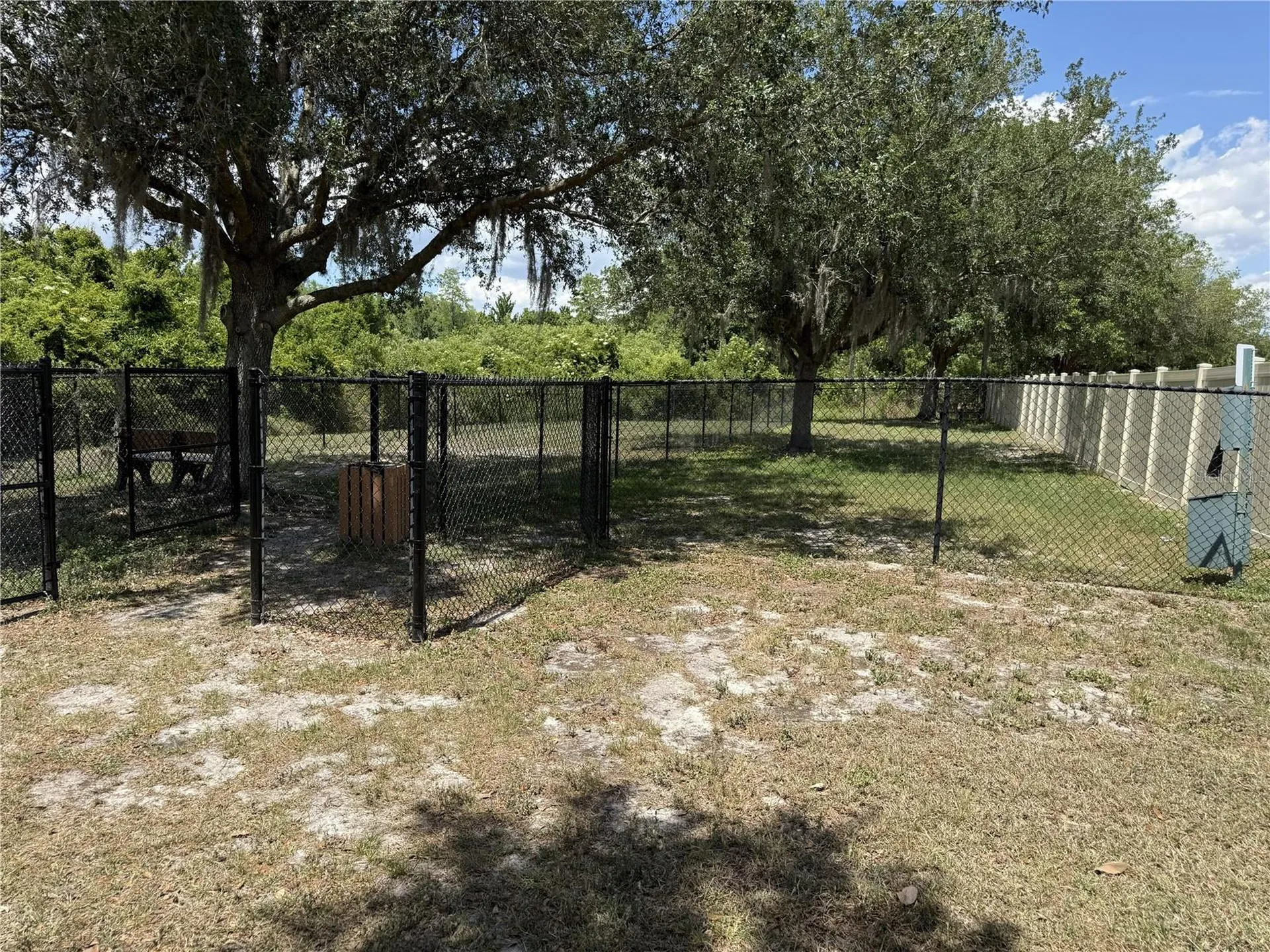 9551 Jaybird Lane Land O Lakes FL 34638