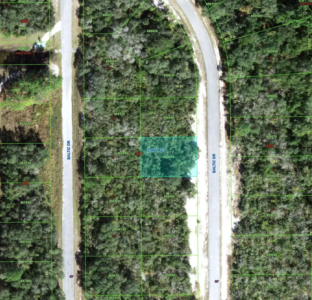 1238 Baltic Drive Kissimmee FL 34759