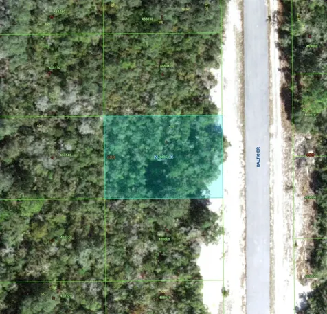 1238 Baltic Drive Kissimmee FL 34759