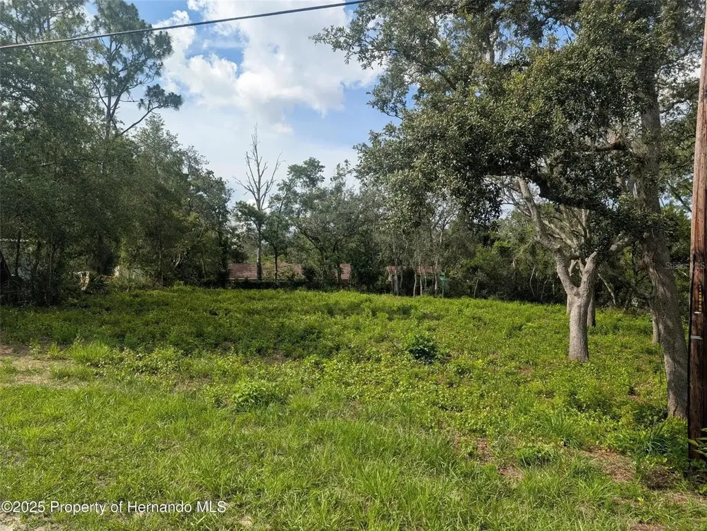 0 Merlin Circle Dade City FL 33523