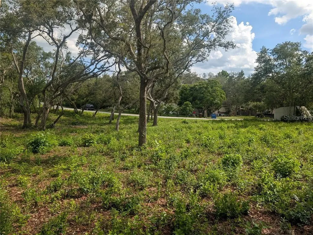 0 Merlin Circle Dade City FL 33523