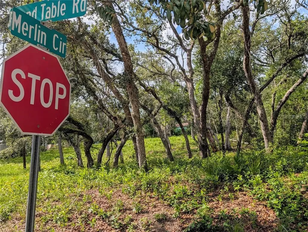 0 Merlin Circle Dade City FL 33523