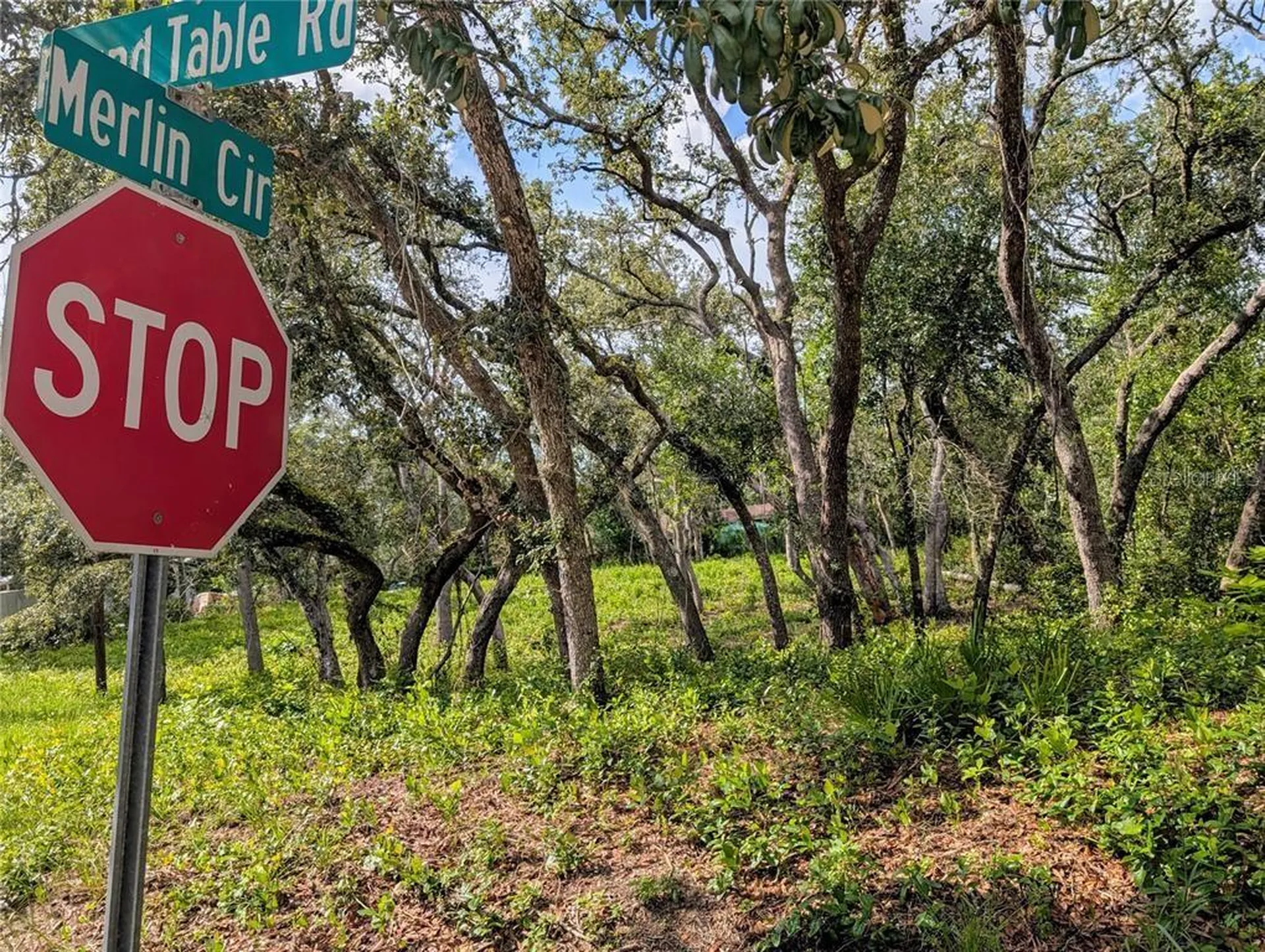 0 Merlin Circle Dade City FL 33523