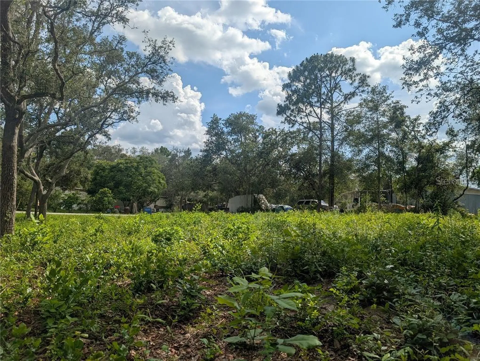0 Merlin Circle Dade City FL 33523