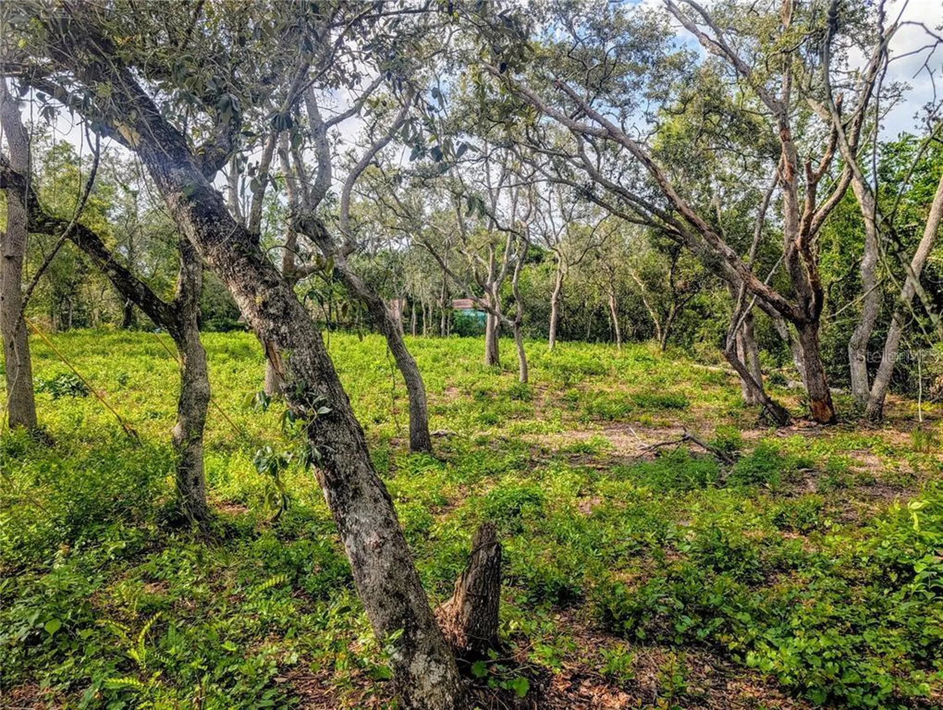 0 Merlin Circle Dade City FL 33523