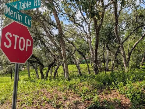 0 Merlin Circle Dade City FL 33523
