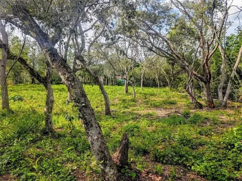 0 Merlin Circle Dade City FL 33523