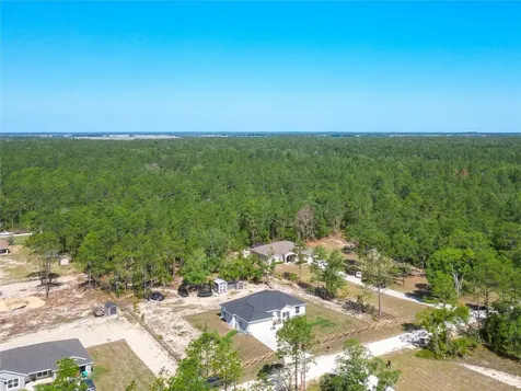 8786 SW 127th Avenue Dunnellon FL 34432