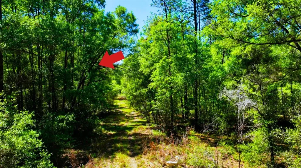 Tbd SW 24th Place Ocala FL 34481