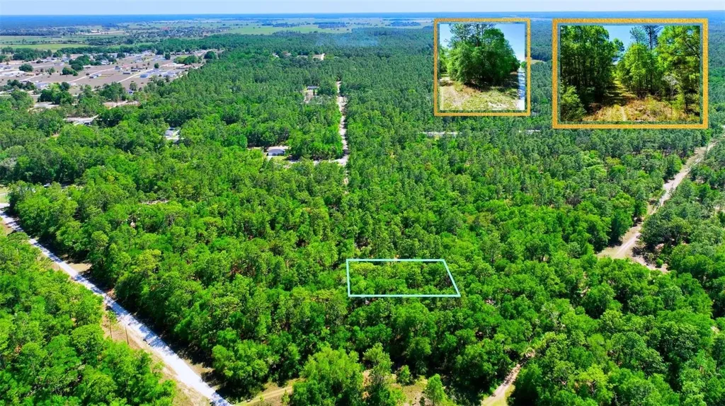 Tbd SW 24th Place Ocala FL 34481