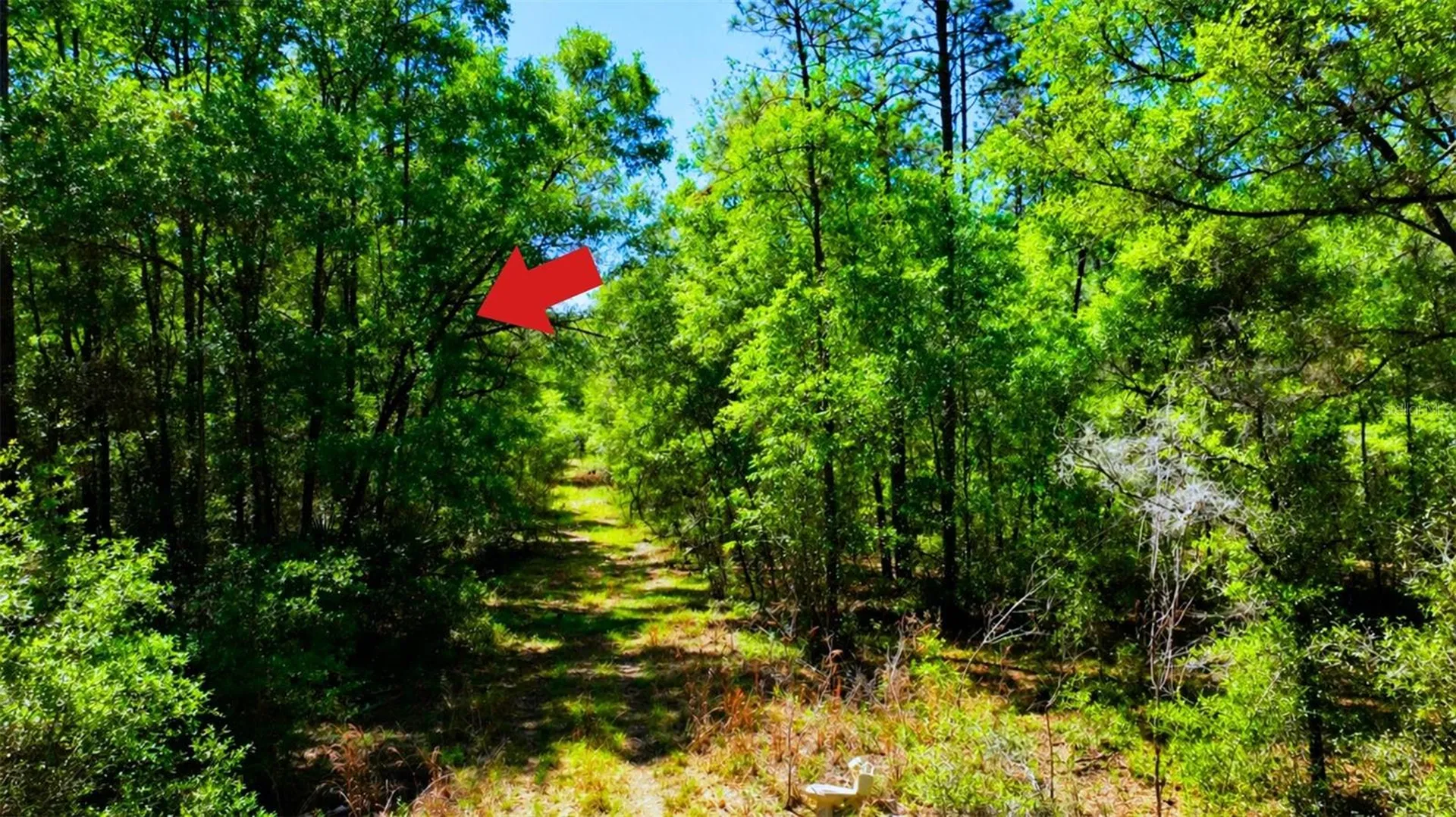 Tbd SW 24th Place Ocala FL 34481