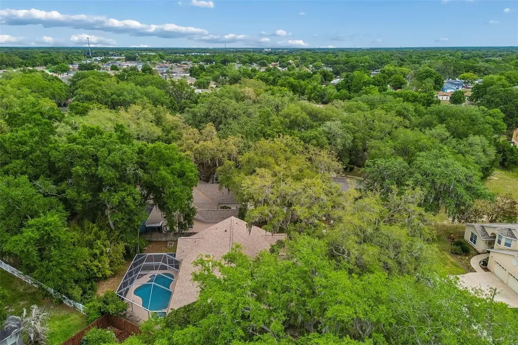 1336 Waterwood Drive Lutz FL 33559