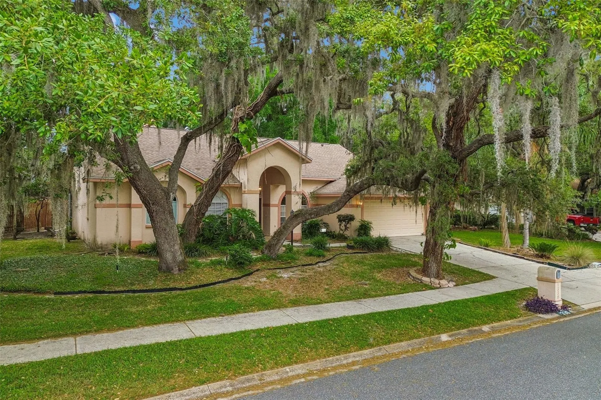 1336 Waterwood Drive Lutz FL 33559