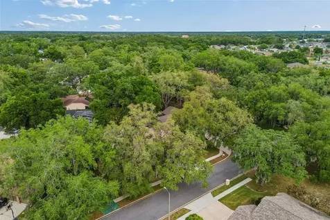 1336 Waterwood Drive Lutz FL 33559
