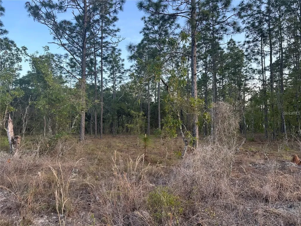 Lot 3 NW Amberjack Avenue Dunnellon FL 34431