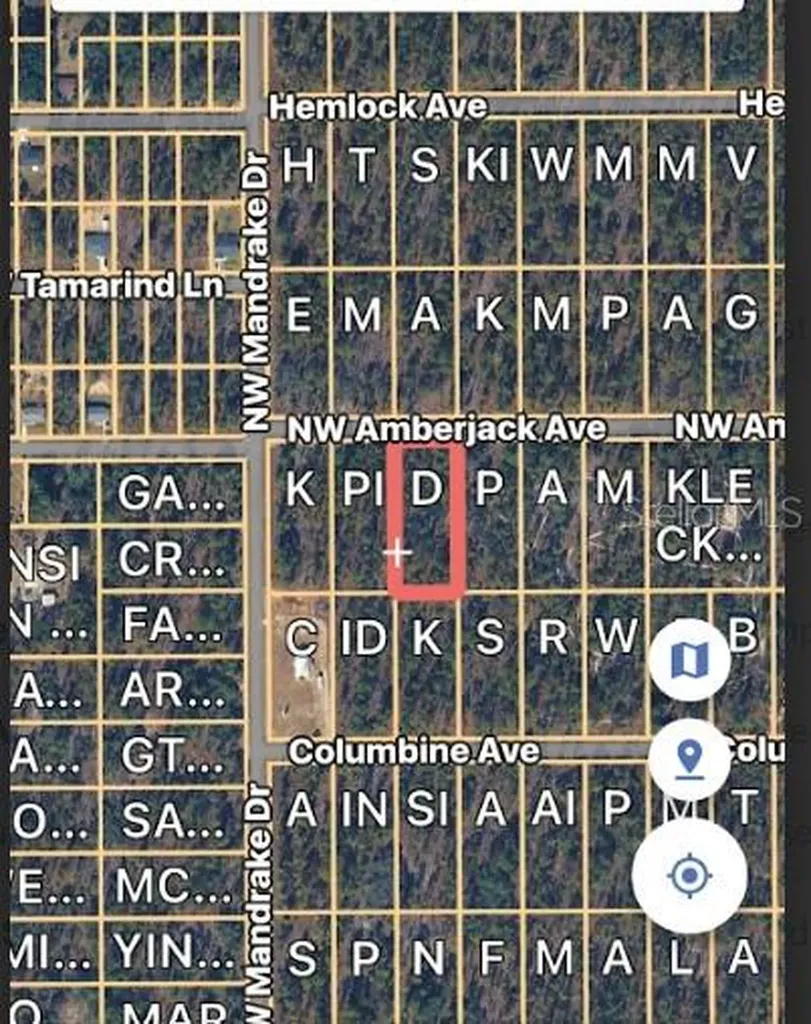 Lot 3 NW Amberjack Avenue Dunnellon FL 34431