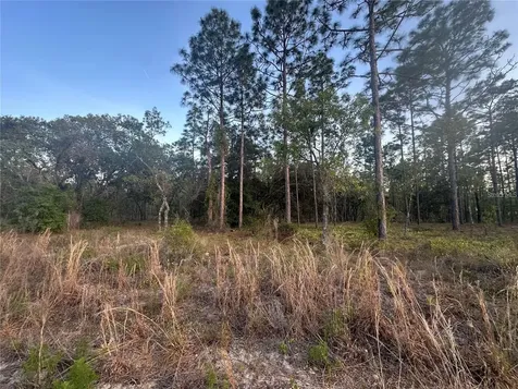 Lot 3 NW Amberjack Avenue Dunnellon FL 34431