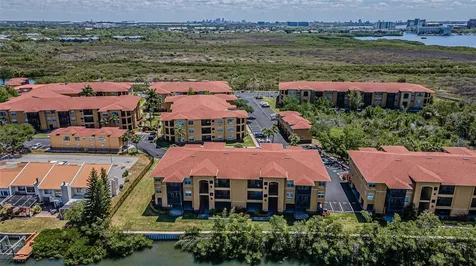 4316 Bayside Village Drive Tampa FL 33615