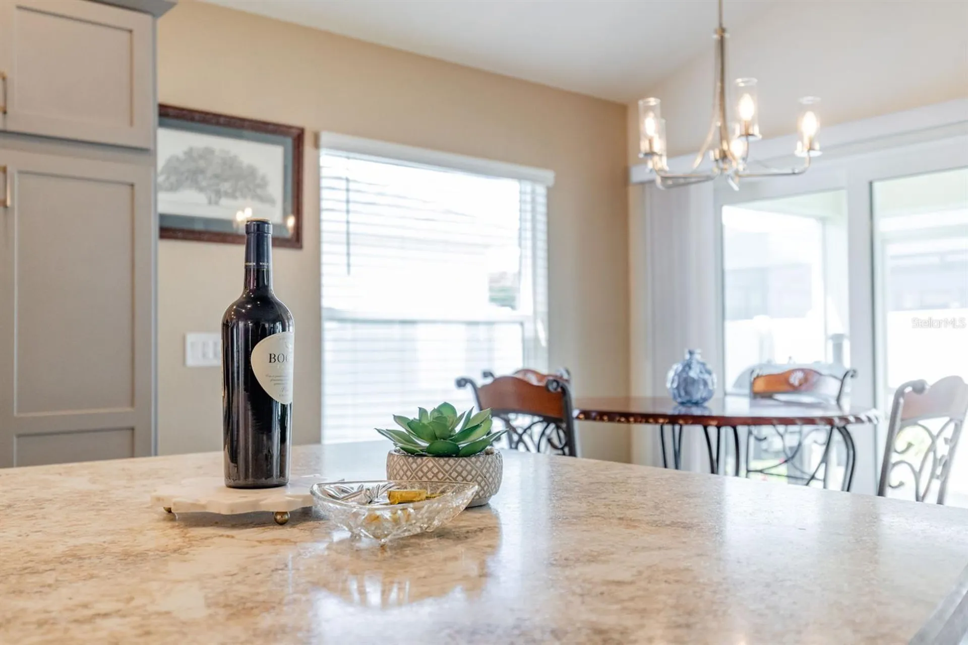 580 Gough Place The Villages FL 32163