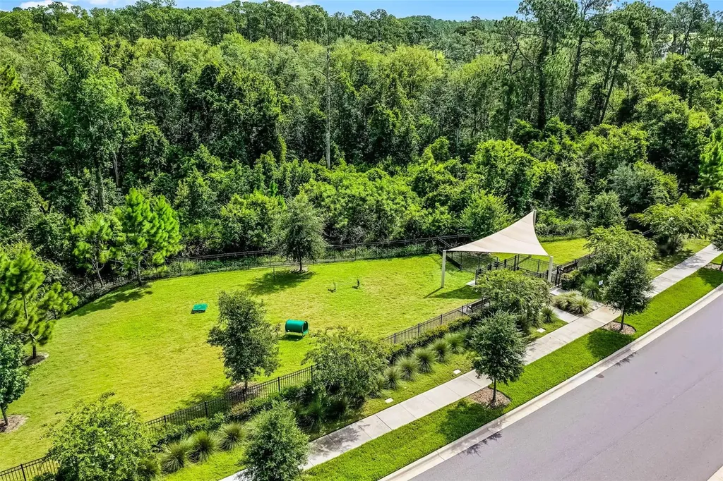 17406 Honeybell Tangelo Court Winter Garden FL 34787