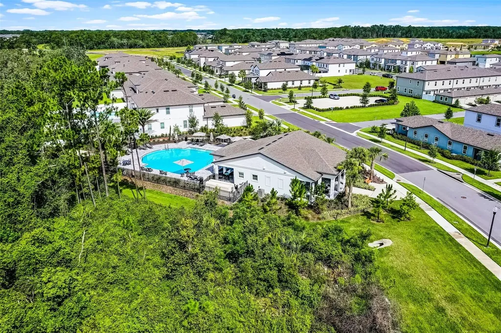 17406 Honeybell Tangelo Court Winter Garden FL 34787
