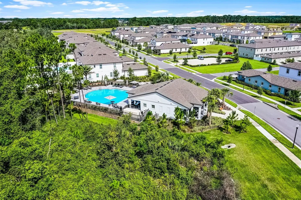 17406 Honeybell Tangelo Court Winter Garden FL 34787