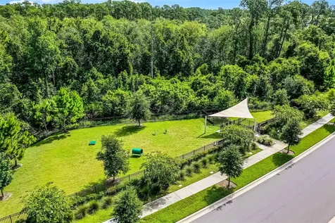 17406 Honeybell Tangelo Court Winter Garden FL 34787
