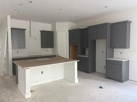 17406 Honeybell Tangelo Court Winter Garden FL 34787