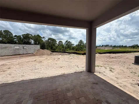 17406 Honeybell Tangelo Court Winter Garden FL 34787