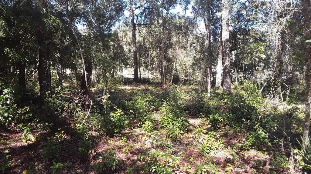 6887 W Dumaine Lane Dunnellon FL 34433