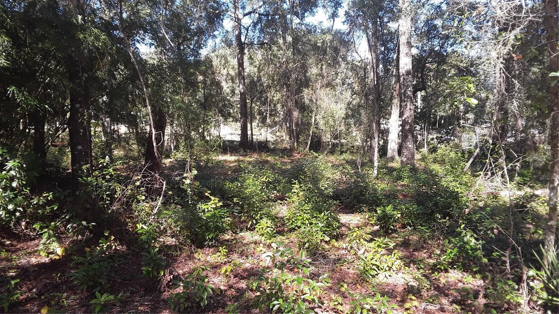 6887 W Dumaine Lane Dunnellon FL 34433