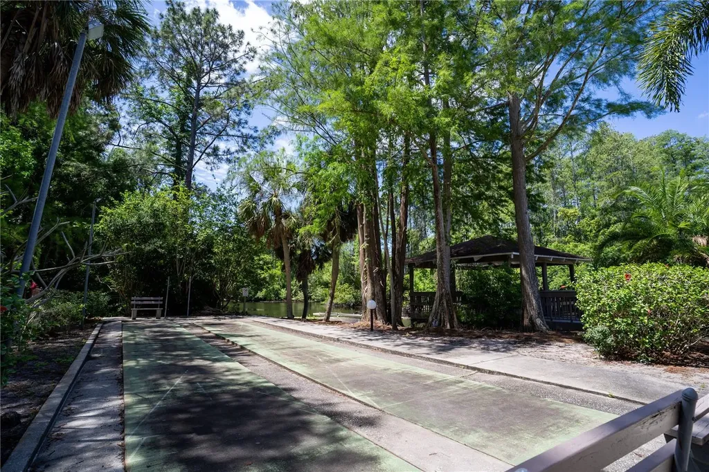 514 Tabor Court Safety Harbor FL 34695