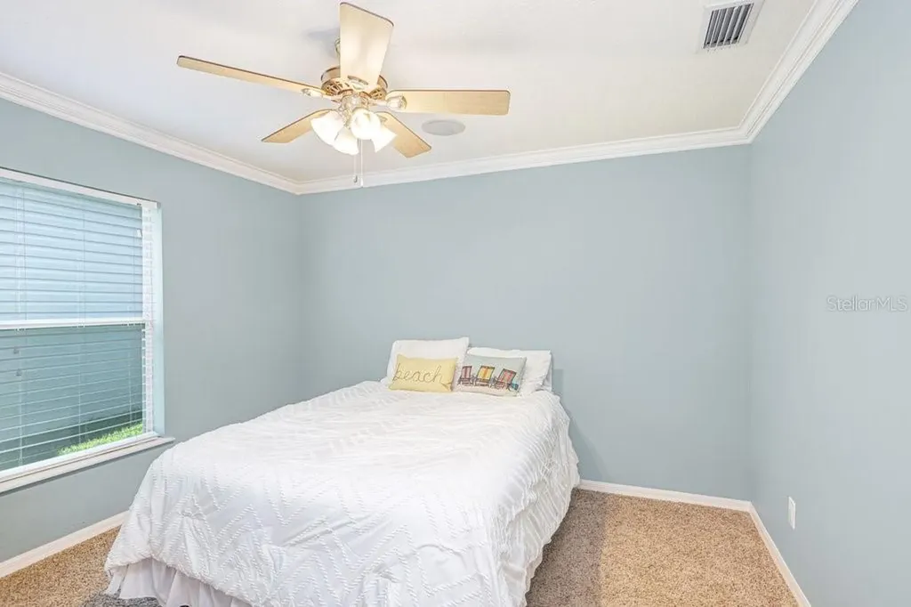3915 Duke Firth Street Land O Lakes FL 34638