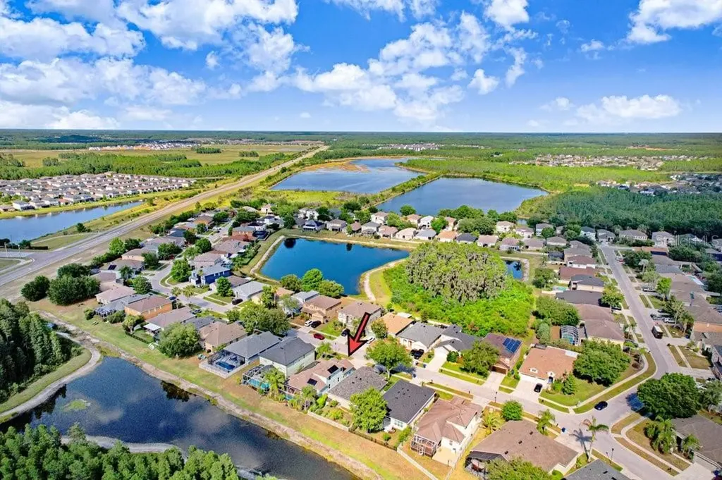 3915 Duke Firth Street Land O Lakes FL 34638