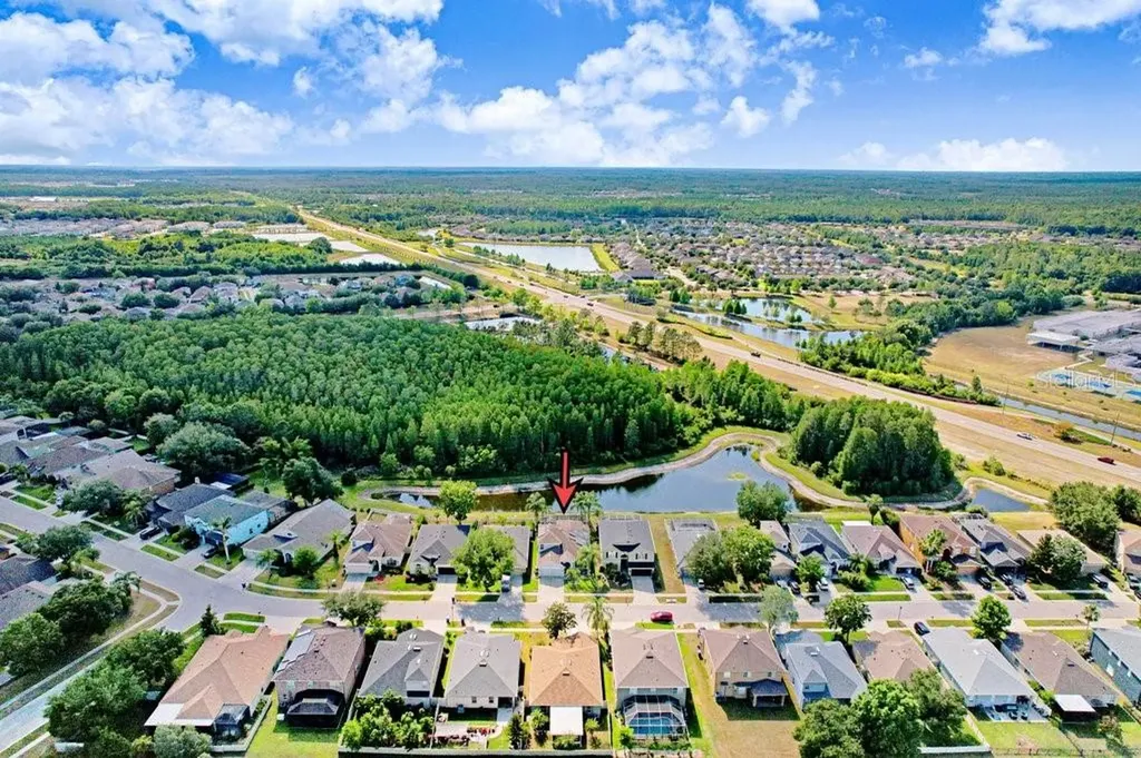 3915 Duke Firth Street Land O Lakes FL 34638