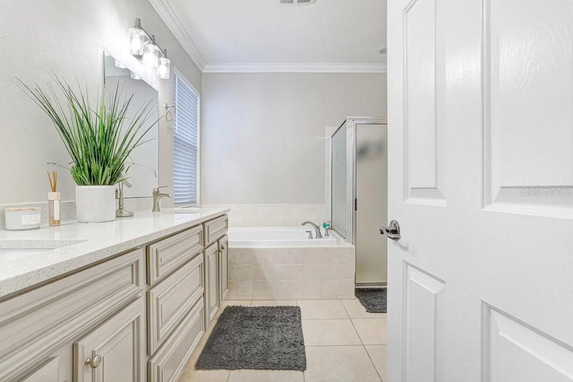 3915 Duke Firth Street Land O Lakes FL 34638