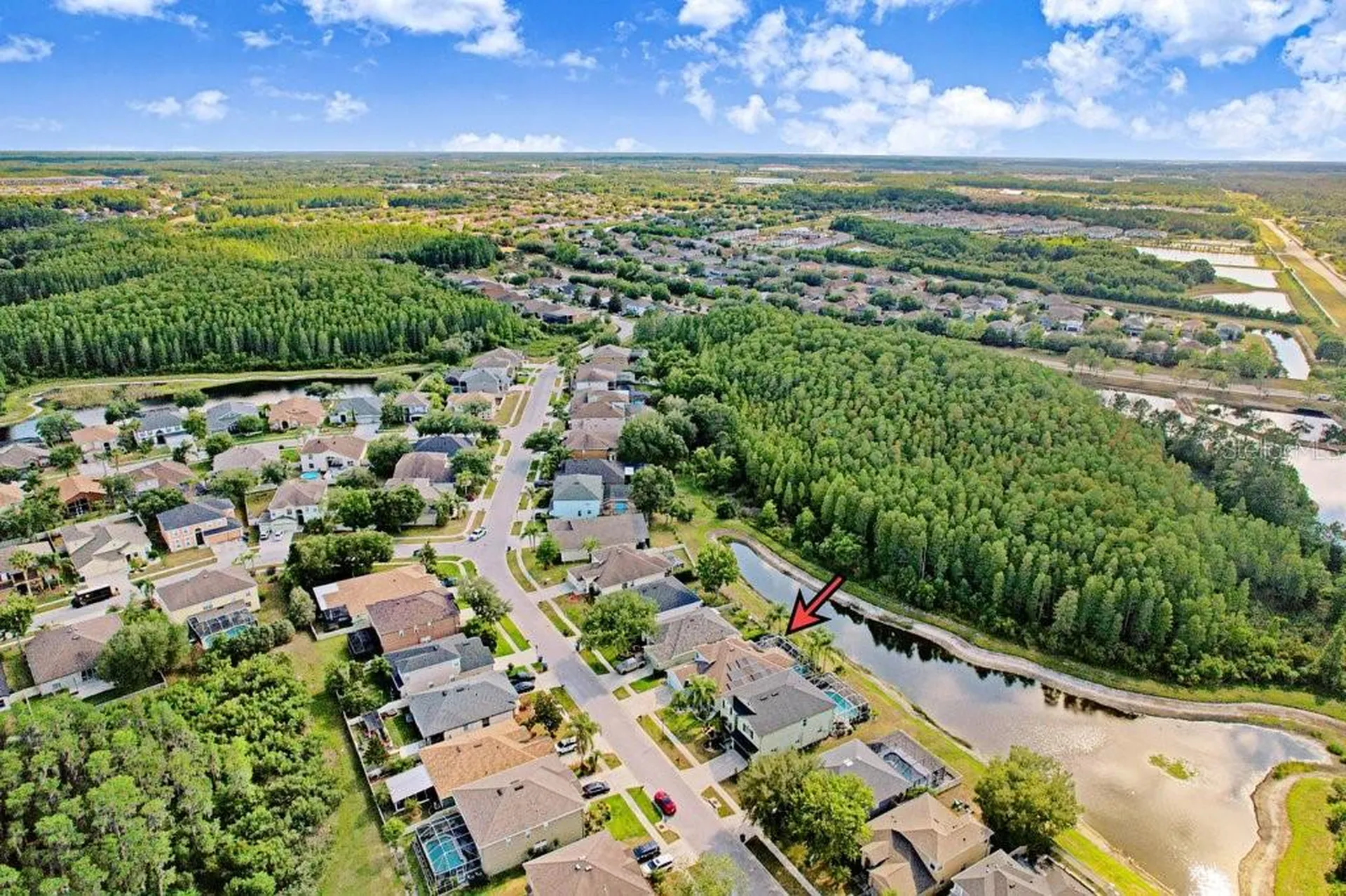 3915 Duke Firth Street Land O Lakes FL 34638