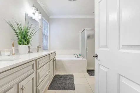 3915 Duke Firth Street Land O Lakes FL 34638