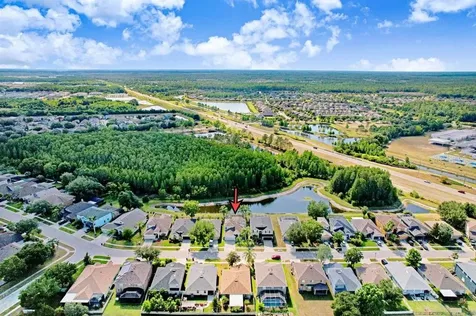3915 Duke Firth Street Land O Lakes FL 34638
