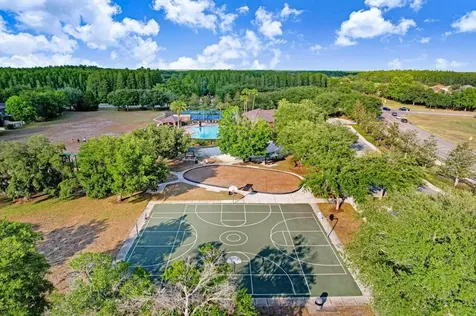 3915 Duke Firth Street Land O Lakes FL 34638