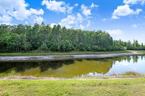3915 Duke Firth Street Land O Lakes FL 34638