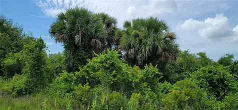 NW 268th Street Okeechobee FL 34972