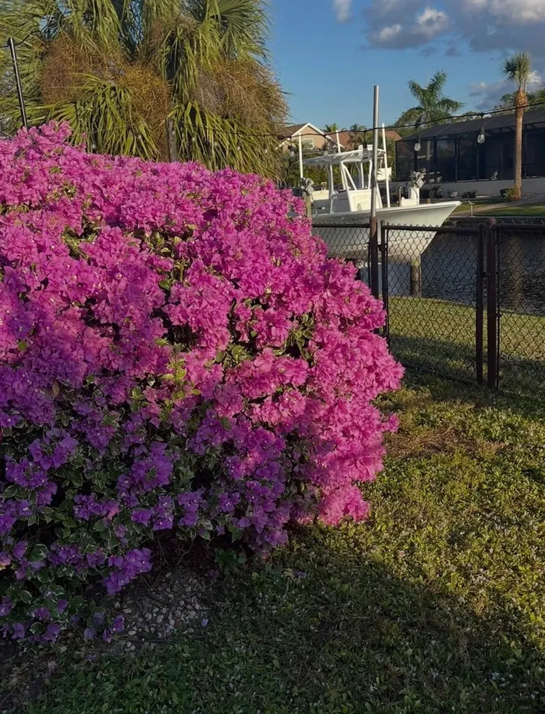 2824 Shannon Drive Punta Gorda FL 33950
