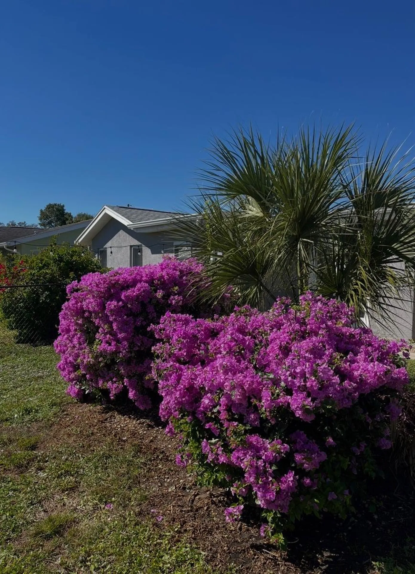 2824 Shannon Drive Punta Gorda FL 33950