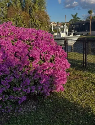 2824 Shannon Drive Punta Gorda FL 33950